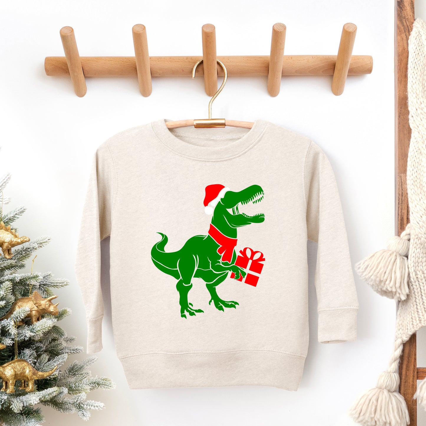 Dino Present | Youth Ultra-Soft Graphic Sweatshirt