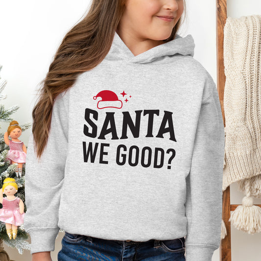 Santa We Good Glitter | Toddler Graphic Hoodie