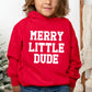 Merry Little Dude | Toddler Graphic Hoodie