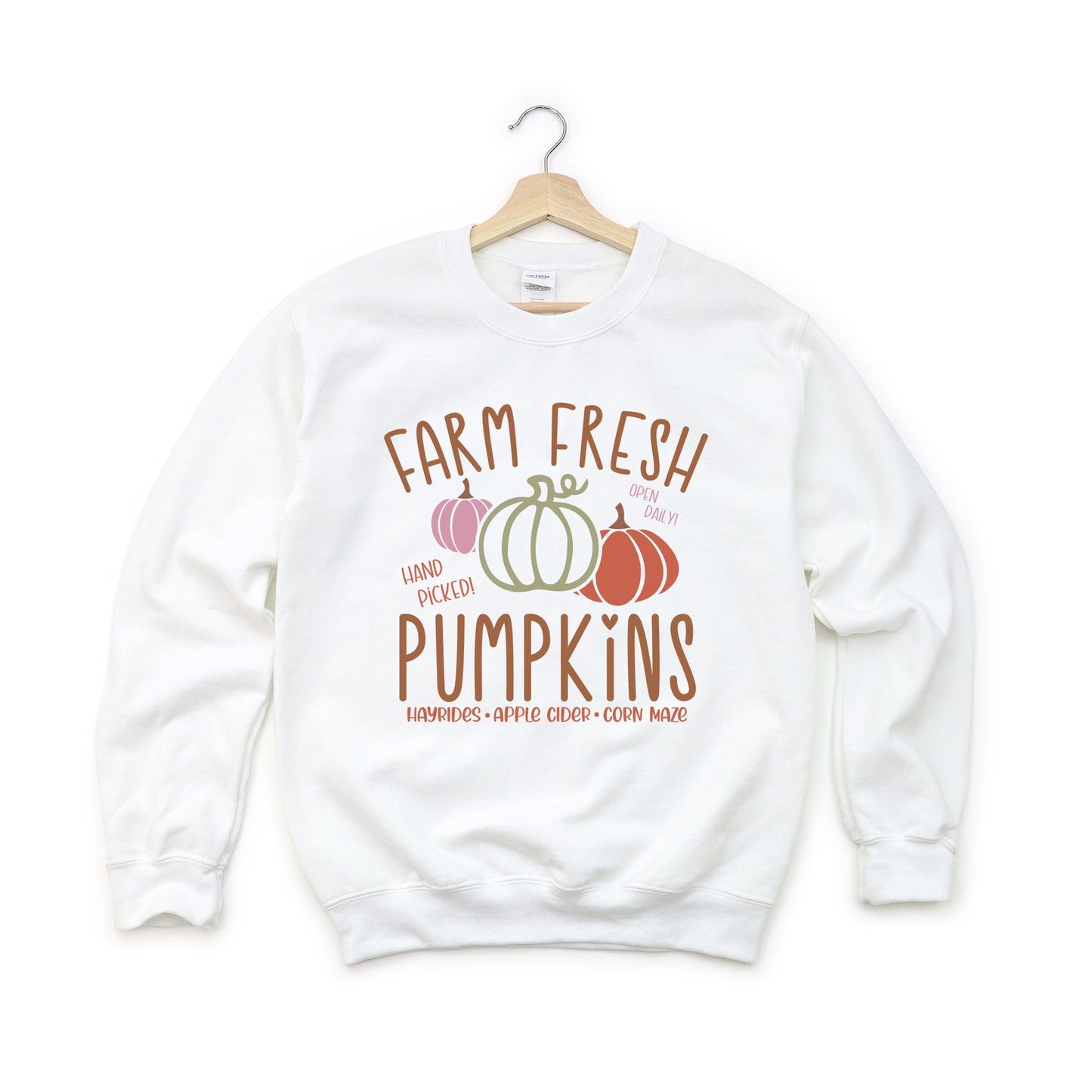 Colorful Farm Fresh Pumpkins | Youth Graphic Sweatshirt