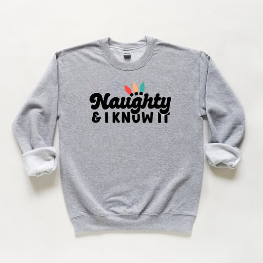 Naughty And I Know It Lights | Youth Sweatshirt