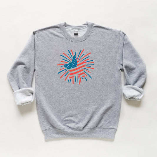 Star Flag Firework | Youth Sweatshirt