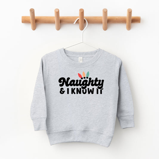 Naughty And I Know It Lights | Toddler Sweatshirt