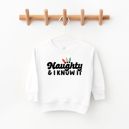 Naughty And I Know It Lights | Toddler Sweatshirt